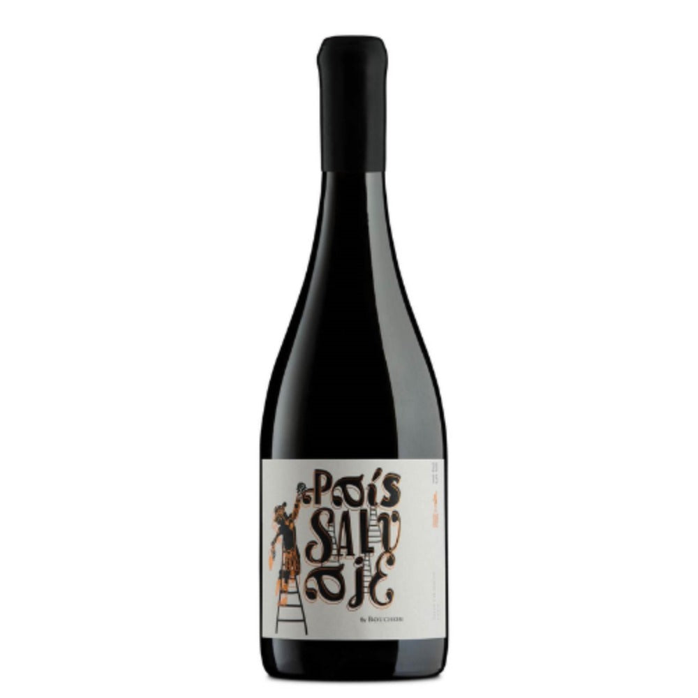 Vinho Tinto Seco Chileno Valle Del Maule País Salvaje País 2019 750Ml